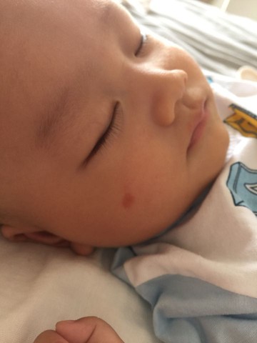 journal_insert_pic_525932553