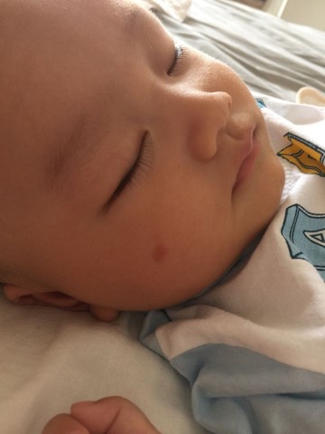 journal_insert_pic_525932533