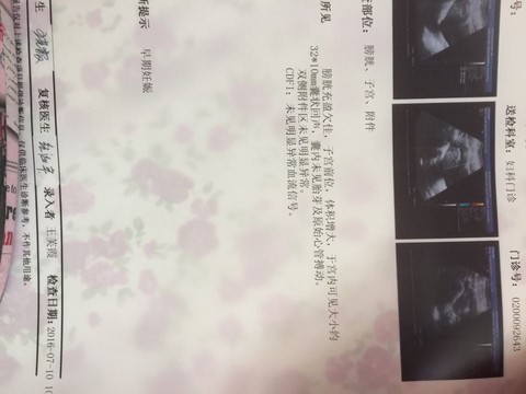 journal_insert_pic_526576861