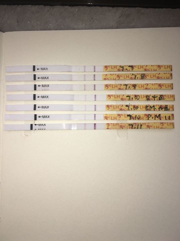 journal_insert_pic_527275555