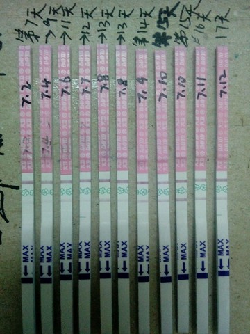 journal_insert_pic_528289313