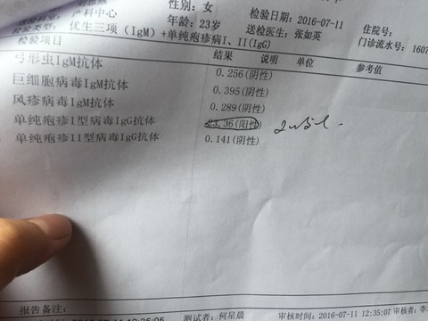 journal_insert_pic_527997685