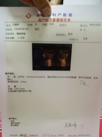 journal_insert_pic_528755300