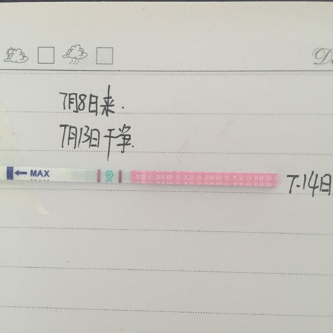 journal_insert_pic_529385858