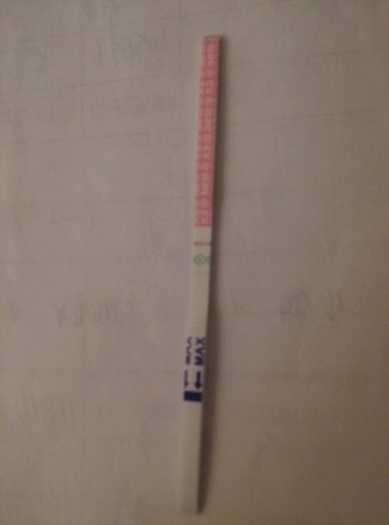 journal_insert_pic_530896821