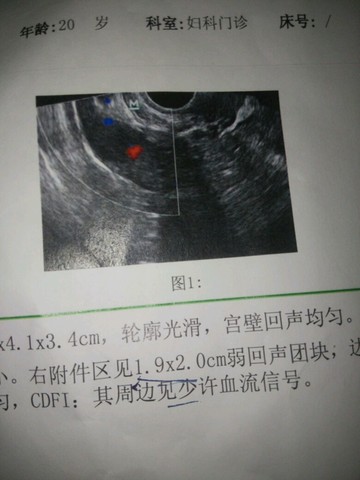 journal_insert_pic_531192447