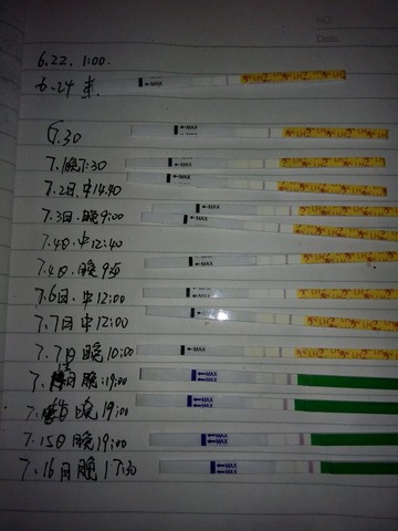 journal_insert_pic_531301490