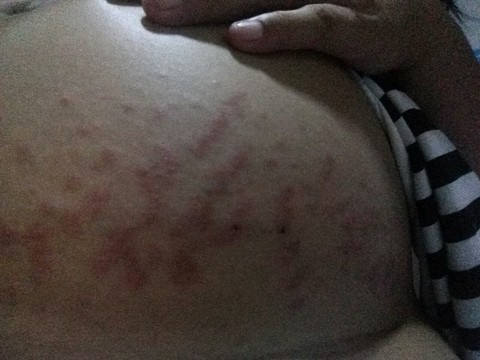 journal_insert_pic_531842240