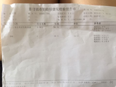 journal_insert_pic_532999272