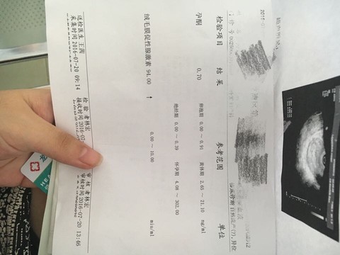 journal_insert_pic_533900079