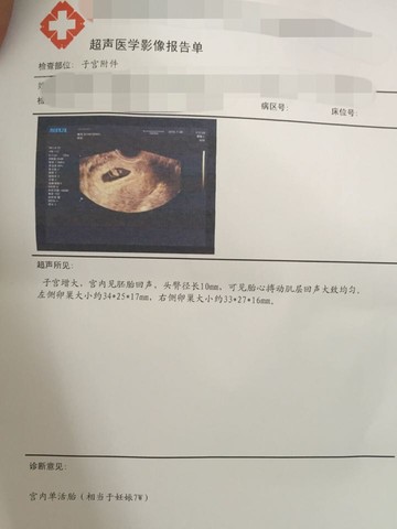 journal_insert_pic_534004183