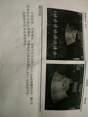 journal_insert_pic_533689392