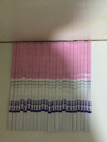 journal_insert_pic_534057880