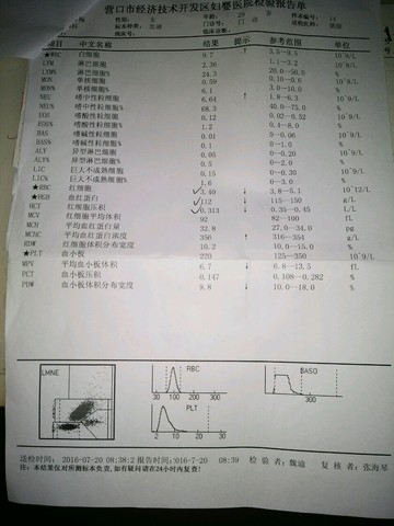 journal_insert_pic_534496461