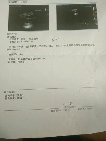 journal_insert_pic_535093920
