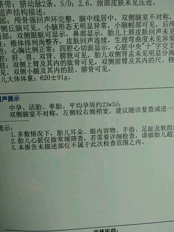 journal_insert_pic_535341301