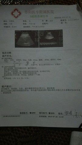 journal_insert_pic_536202875