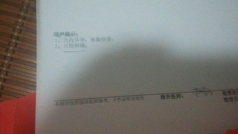 journal_insert_pic_536103762