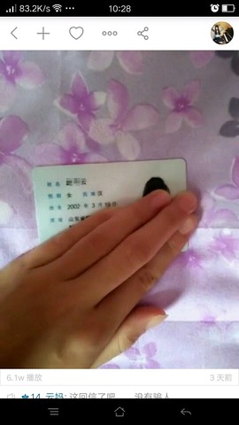 journal_insert_pic_537155256