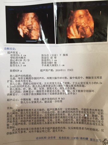 journal_insert_pic_538812706