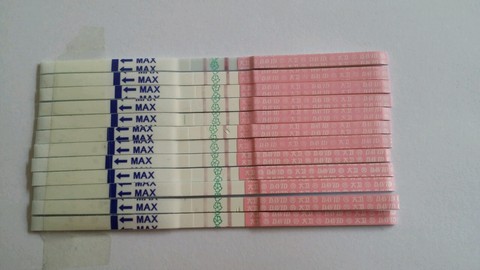 journal_insert_pic_539330776