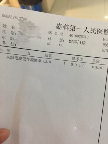 journal_insert_pic_541240433