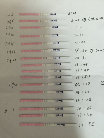 journal_insert_pic_542647508