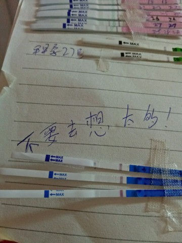 journal_insert_pic_542542362