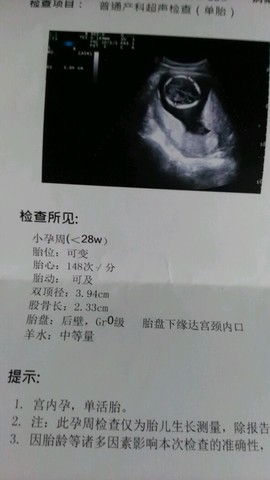 journal_insert_pic_543102430