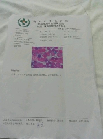 journal_insert_pic_543383755