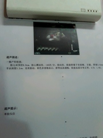 journal_insert_pic_545884843