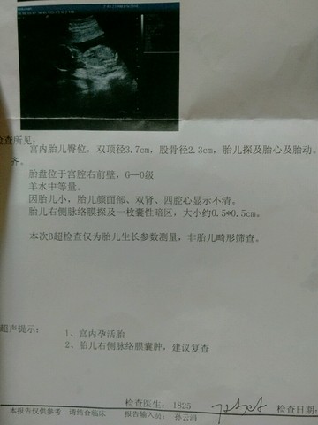 journal_insert_pic_547816031
