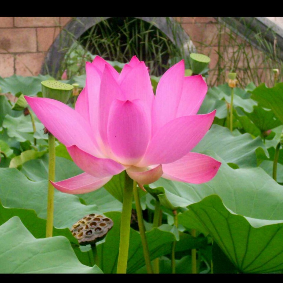 现在宝宝3个月哺乳恢复到了91斤