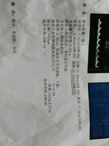 journal_insert_pic_566017777