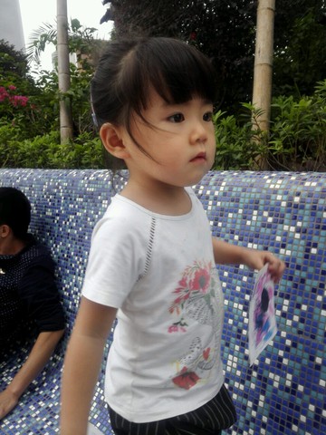 journal_insert_pic_578775829
