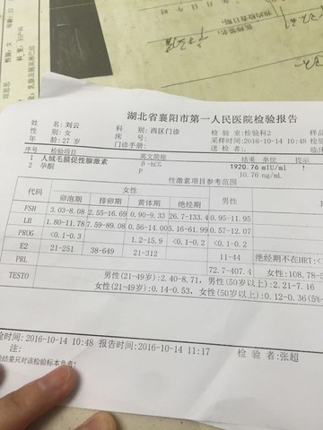 journal_insert_pic_591862105