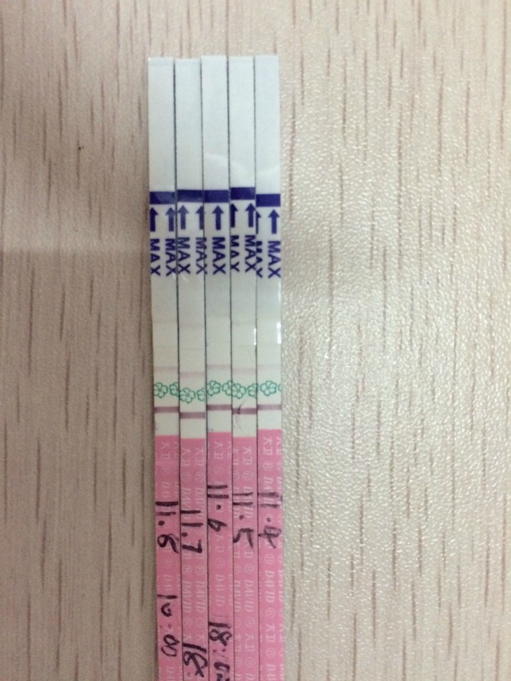 journal_insert_pic_605341691