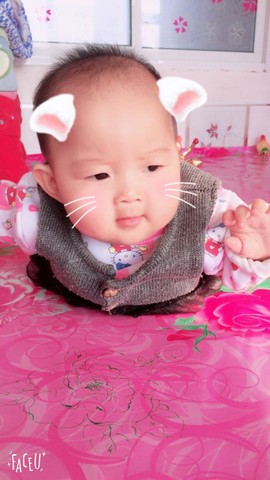 journal_insert_pic_609125601