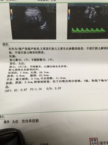 journal_insert_pic_621245599