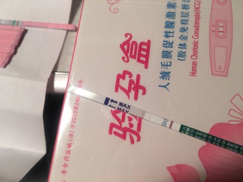 journal_insert_pic_629735821