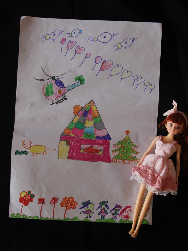 journal_insert_pic_646073473