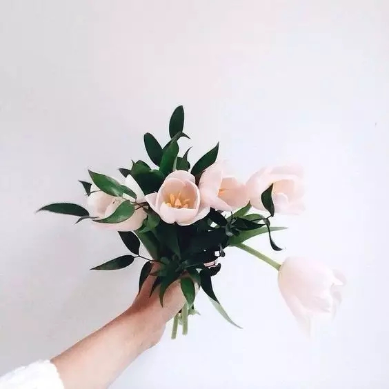 640.webp (38).jpg