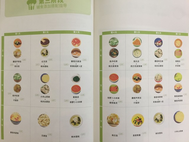 journal_insert_pic_739161404