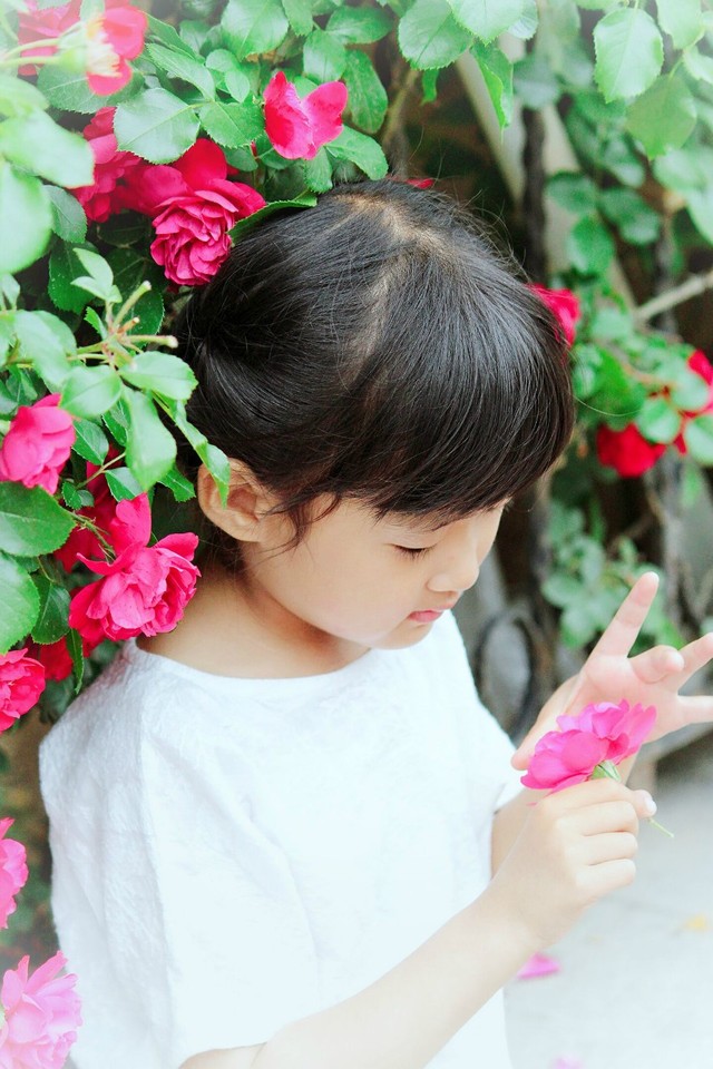 journal_insert_pic_762448601
