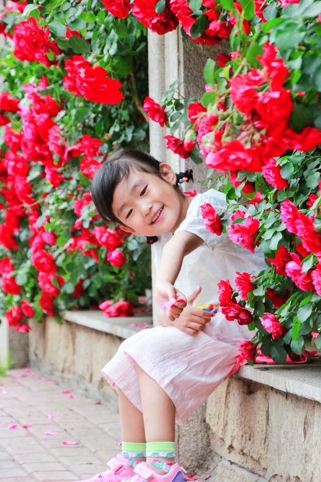 journal_insert_pic_762448503