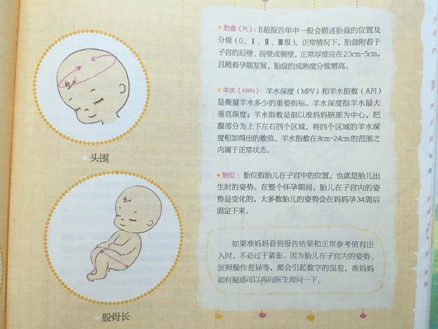 journal_insert_pic_767415165