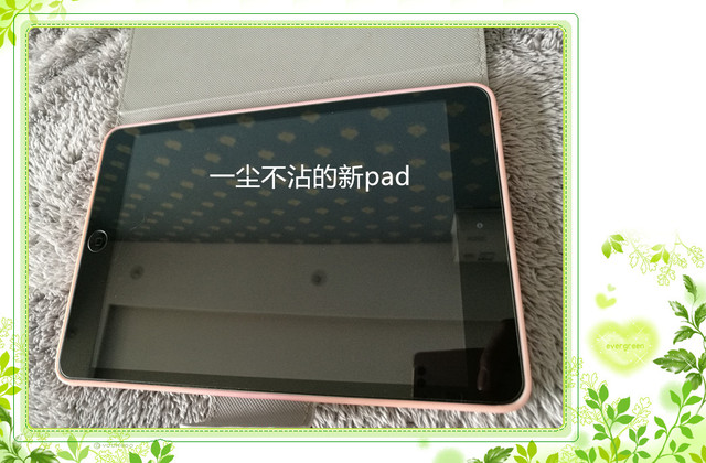 新pad.jpg