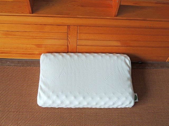 journal_insert_pic_771706685