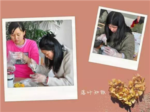 journal_insert_pic_832113152