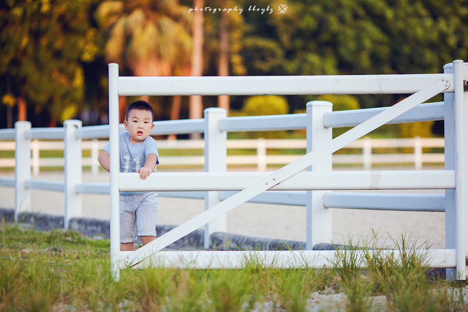 journal_insert_pic_871417743